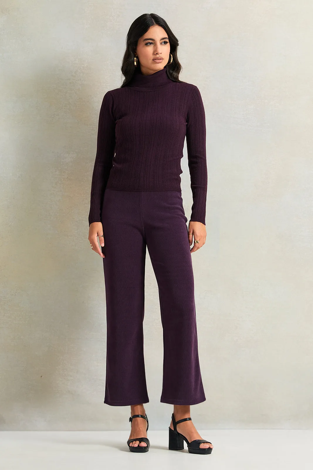 Women Purple Knitted Trousers